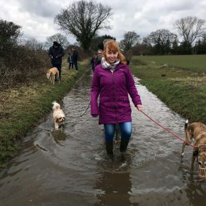 Nicole Volunteering at FAITH animal sanctuary